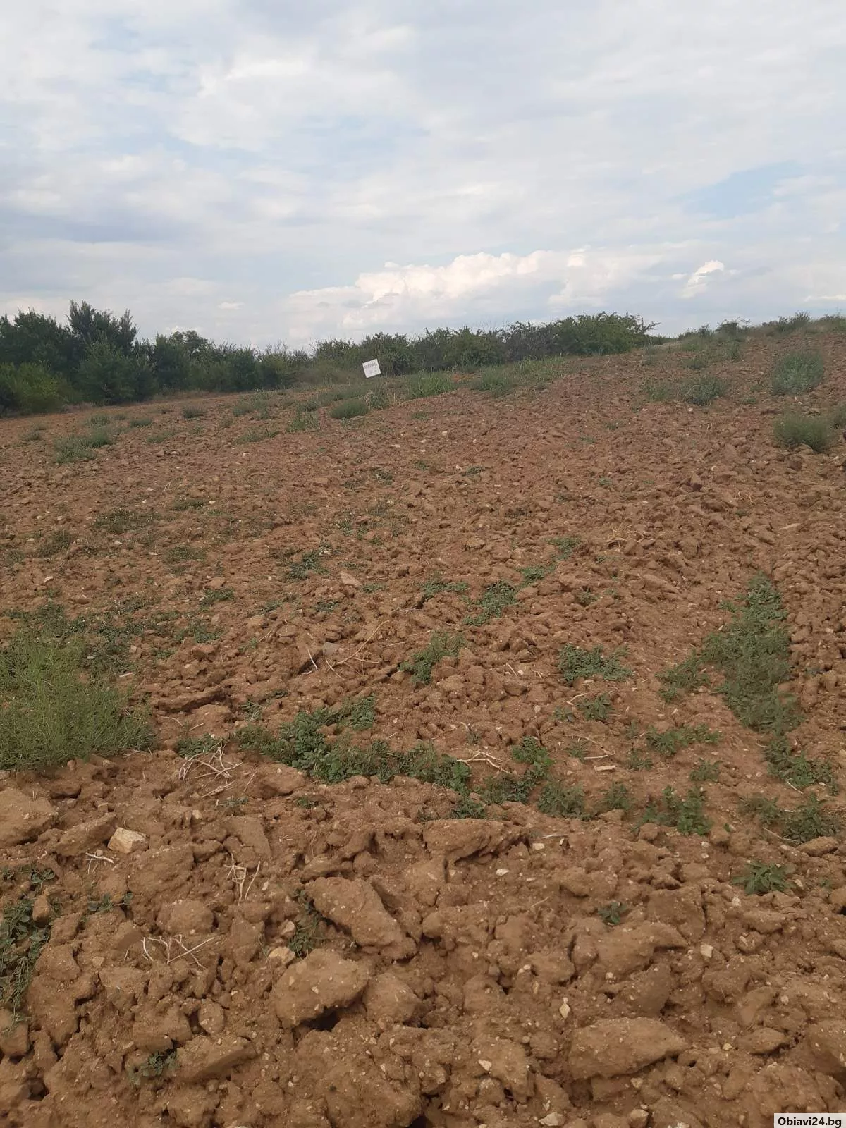 Продавам земеделска земя местност Трасилица, с. Брестовица, гр. Пловдив - obiavi24.bg