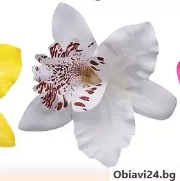 Шнолка-щипка за коса Орхидея - obiavi24.bg