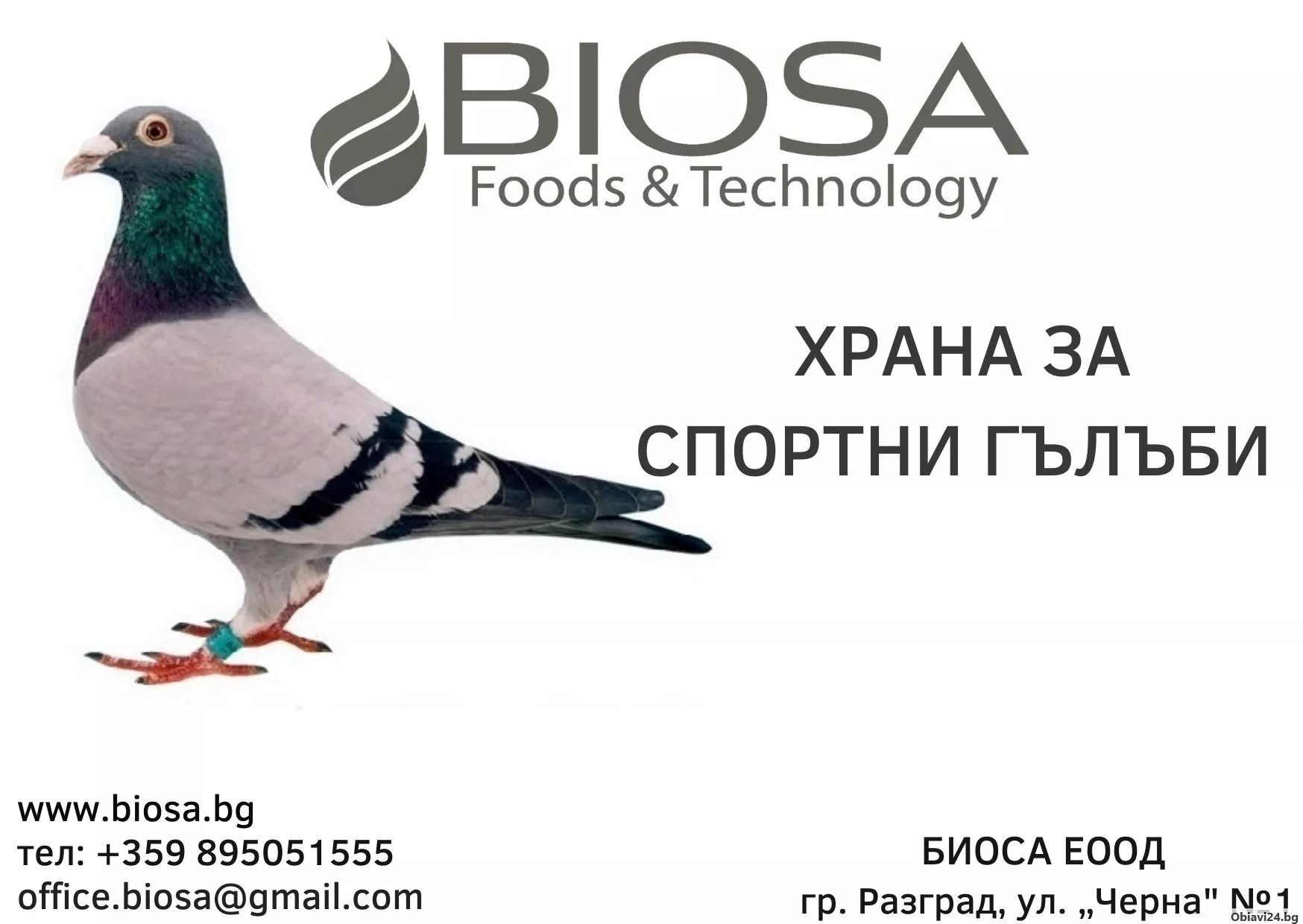 Продавам храна за гълъби - obiavi24.bg