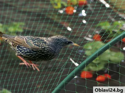 Мрежа за защита от птици - obiavi24.bg